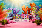 SpongeBob 4-Pack D6