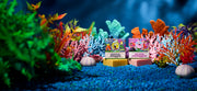 SpongeBob 4-Pack D6
