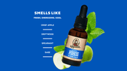 Beard Oil 3-Pack B1