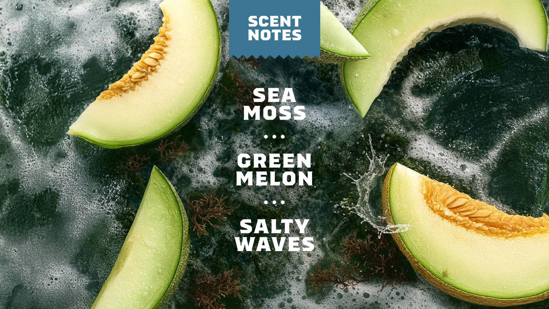 Coastal Mist Hand Soap N8