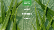Cool Fresh Aloe Conditioner Z5