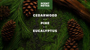 Pine Tar Lotion A0
