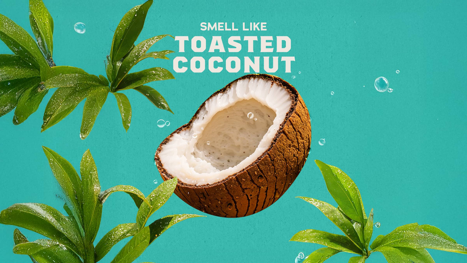 Coconut Castaway Hand Soap U0