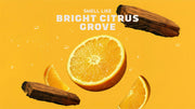 Summer Citrus Hand Soap Y4