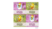 Simpsons Suds 4-Pack T4